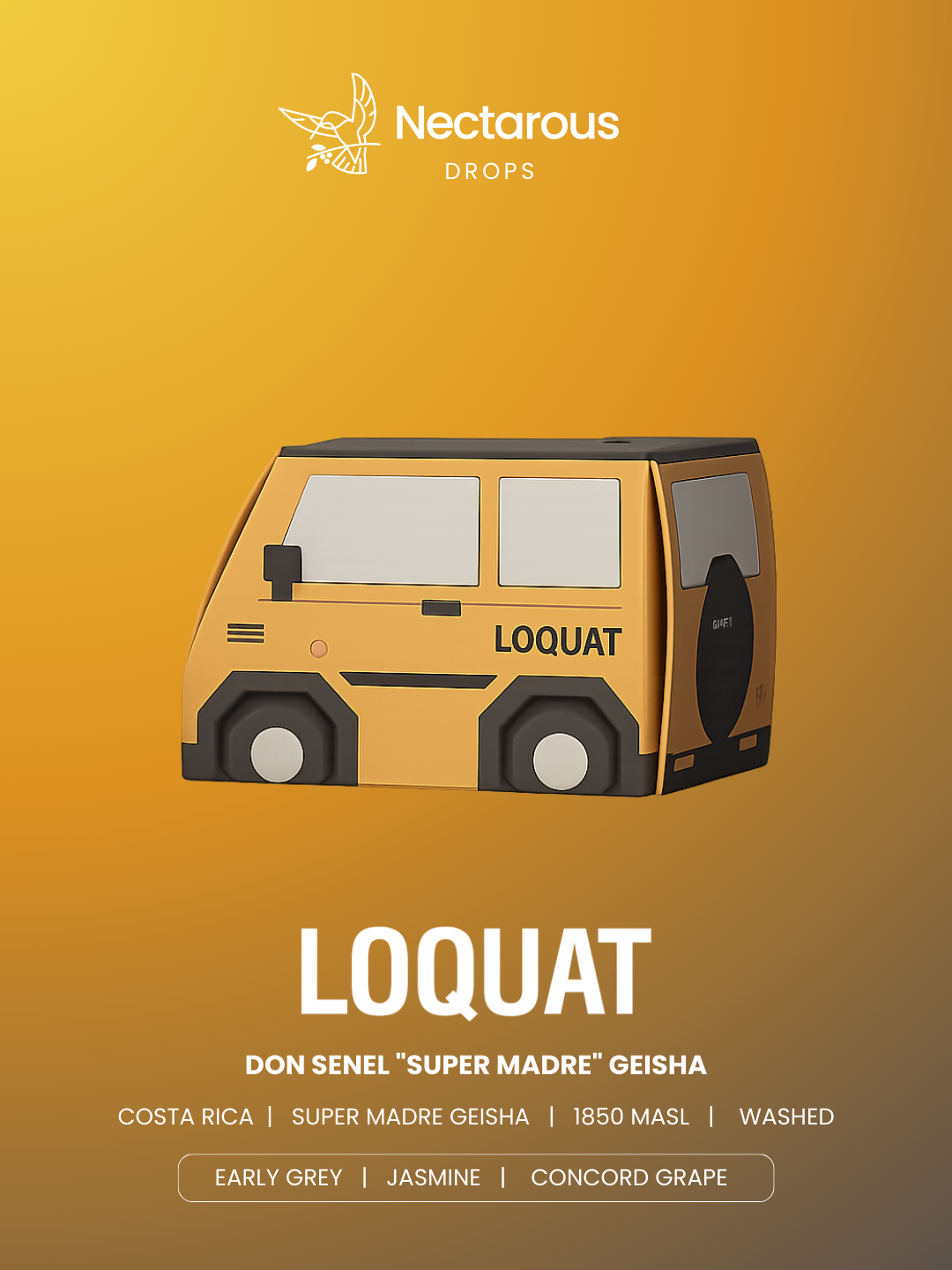 COSTA RICA DON SENEL "SUPER MADRE" GEISHA FULLY WASHED